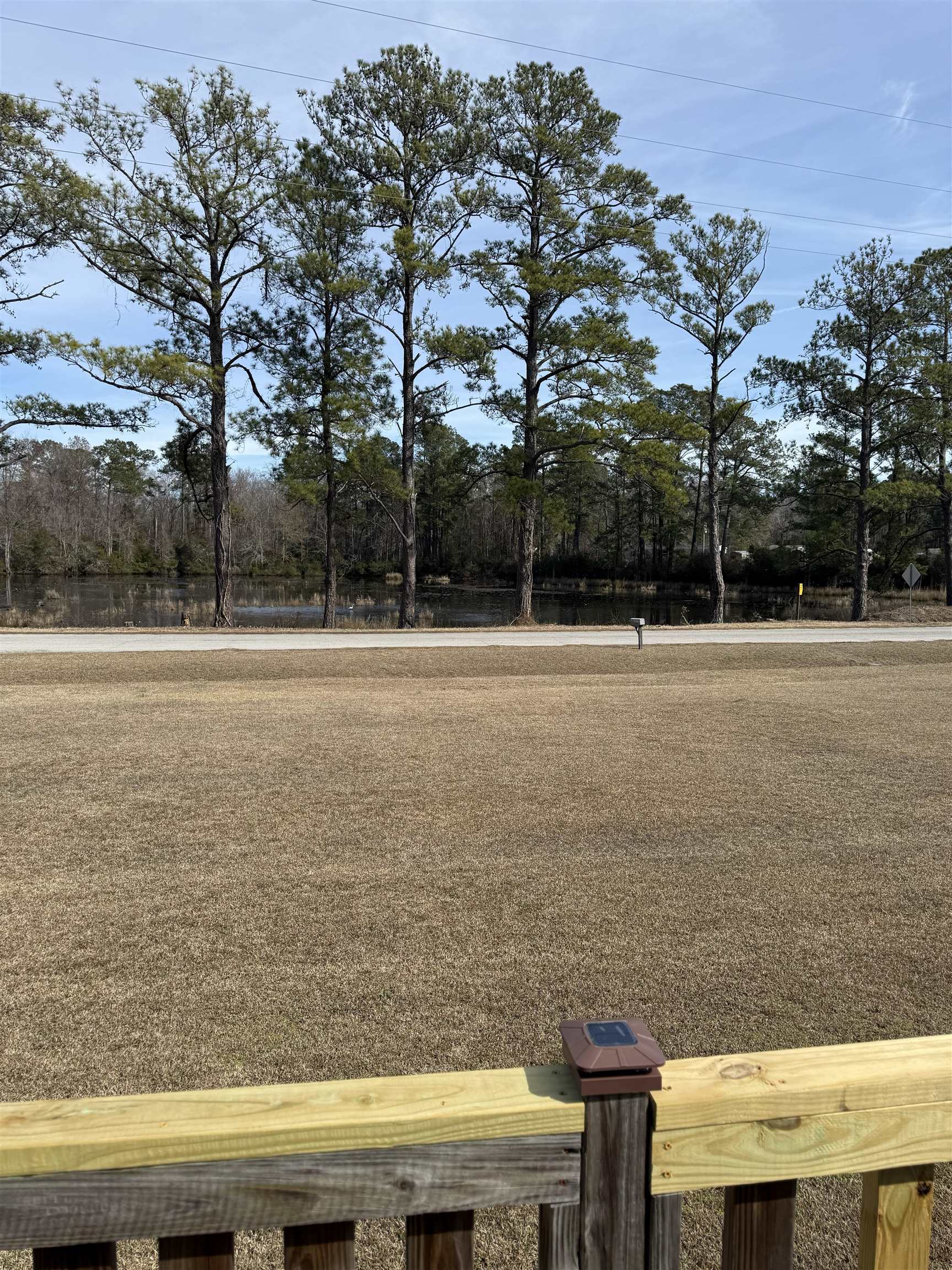 2259 Python Circle Conway, SC 29526 - Photo 21 of 22