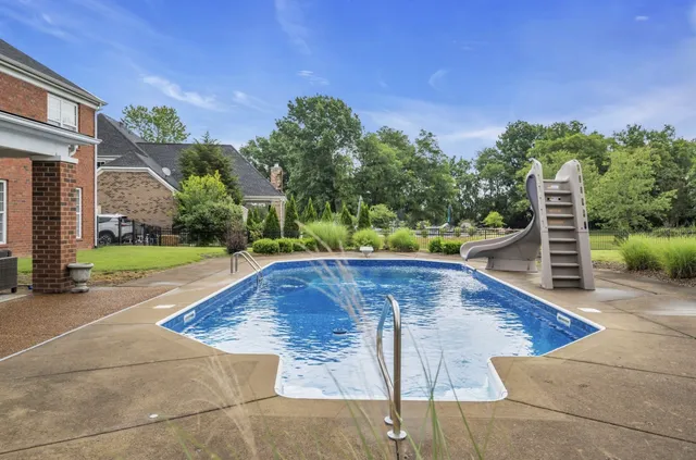 a view of a backyard with plants