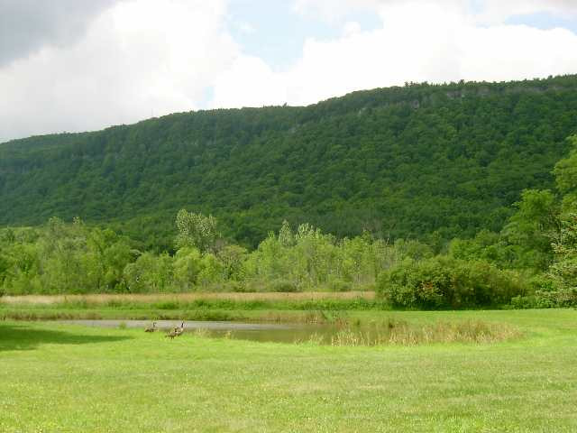 486 Picard Road Altamont, NY 12009 - Photo 11 of 12 Photo 11