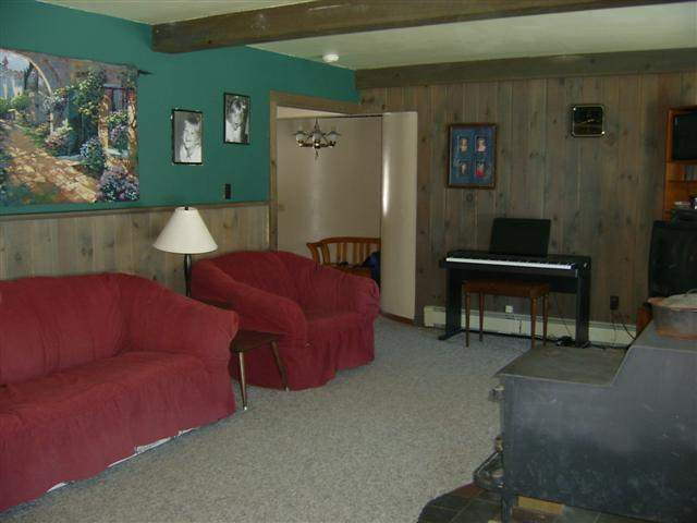 486 Picard Road Altamont, NY 12009 - Photo 4 of 12 Photo 4