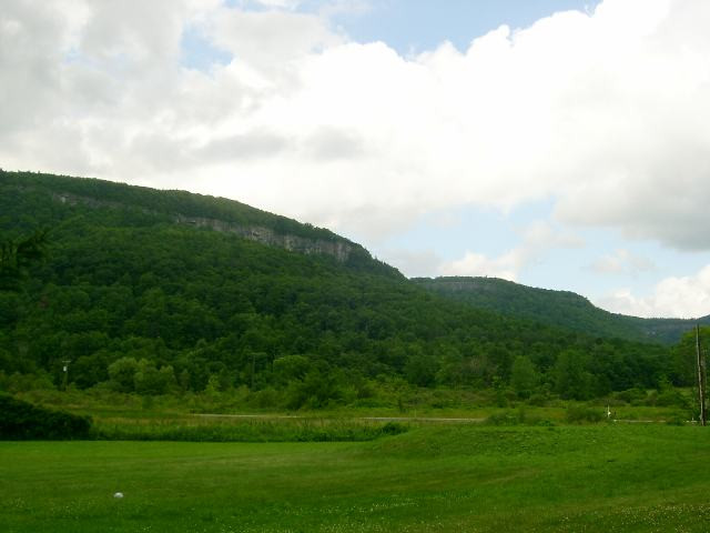 486 Picard Road Altamont, NY 12009 - Photo 10 of 12 Photo 10