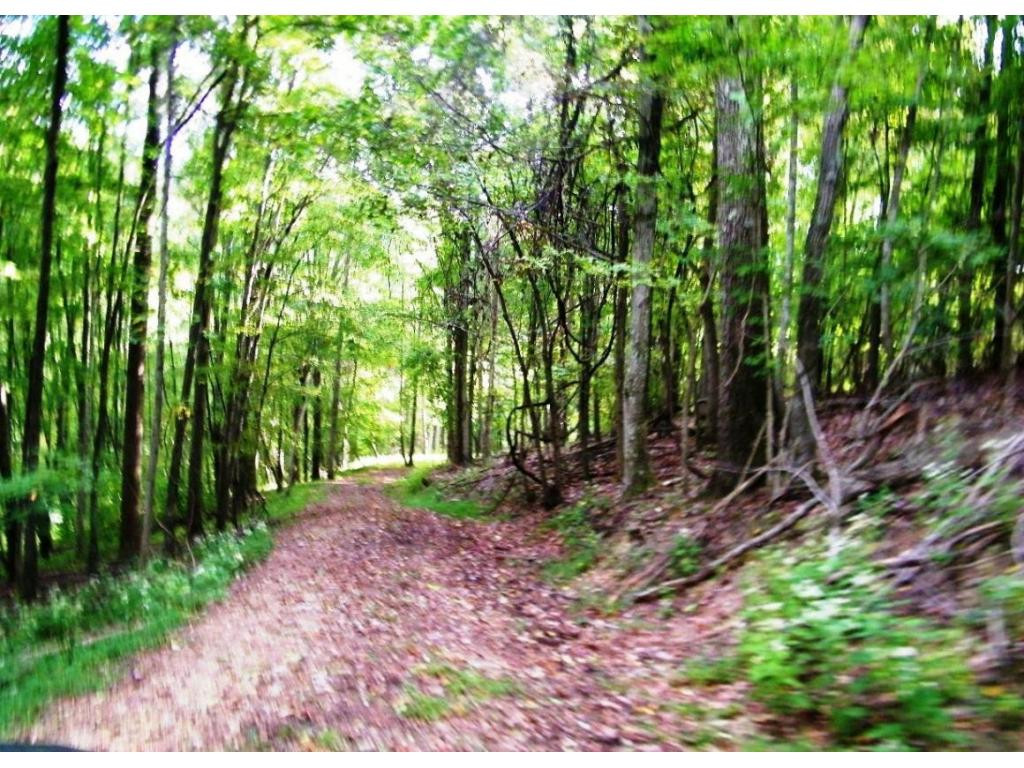 2628 Robinette Valley Road Duffield, VA 24244 - Photo 14 of 24 Photo 14