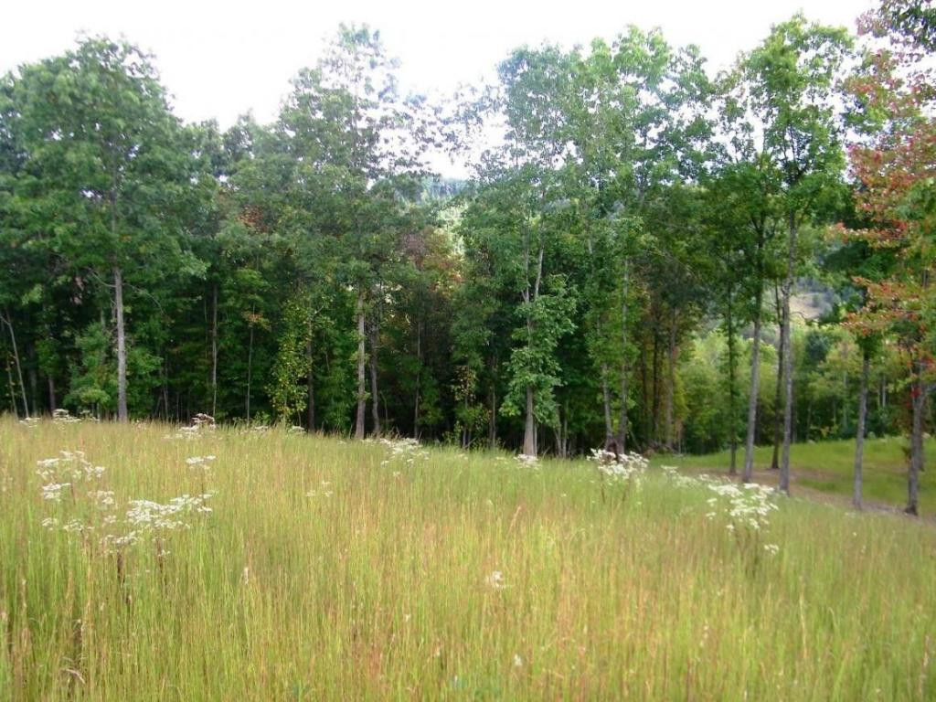 2628 Robinette Valley Road Duffield, VA 24244 - Photo 16 of 24 Photo 16