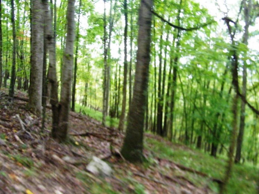 2628 Robinette Valley Road Duffield, VA 24244 - Photo 20 of 24 Photo 20