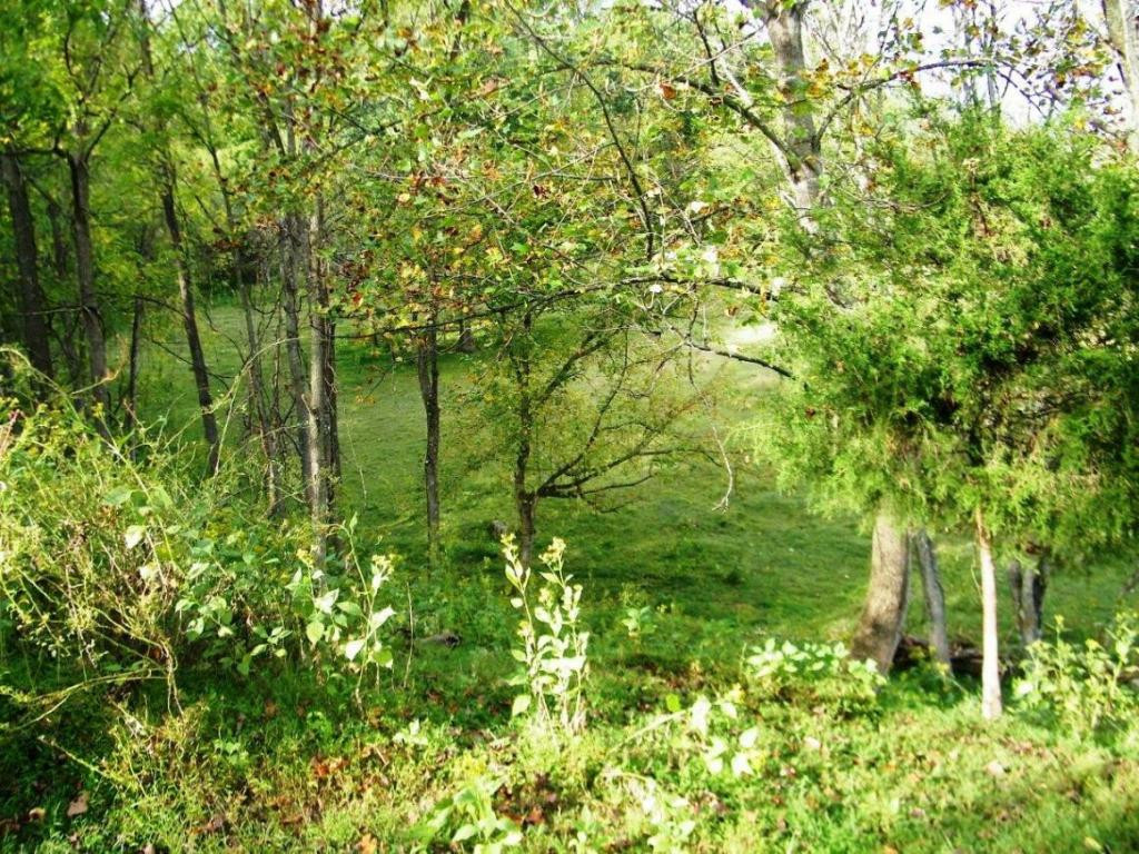 2628 Robinette Valley Road Duffield, VA 24244 - Photo 9 of 24 Photo 9