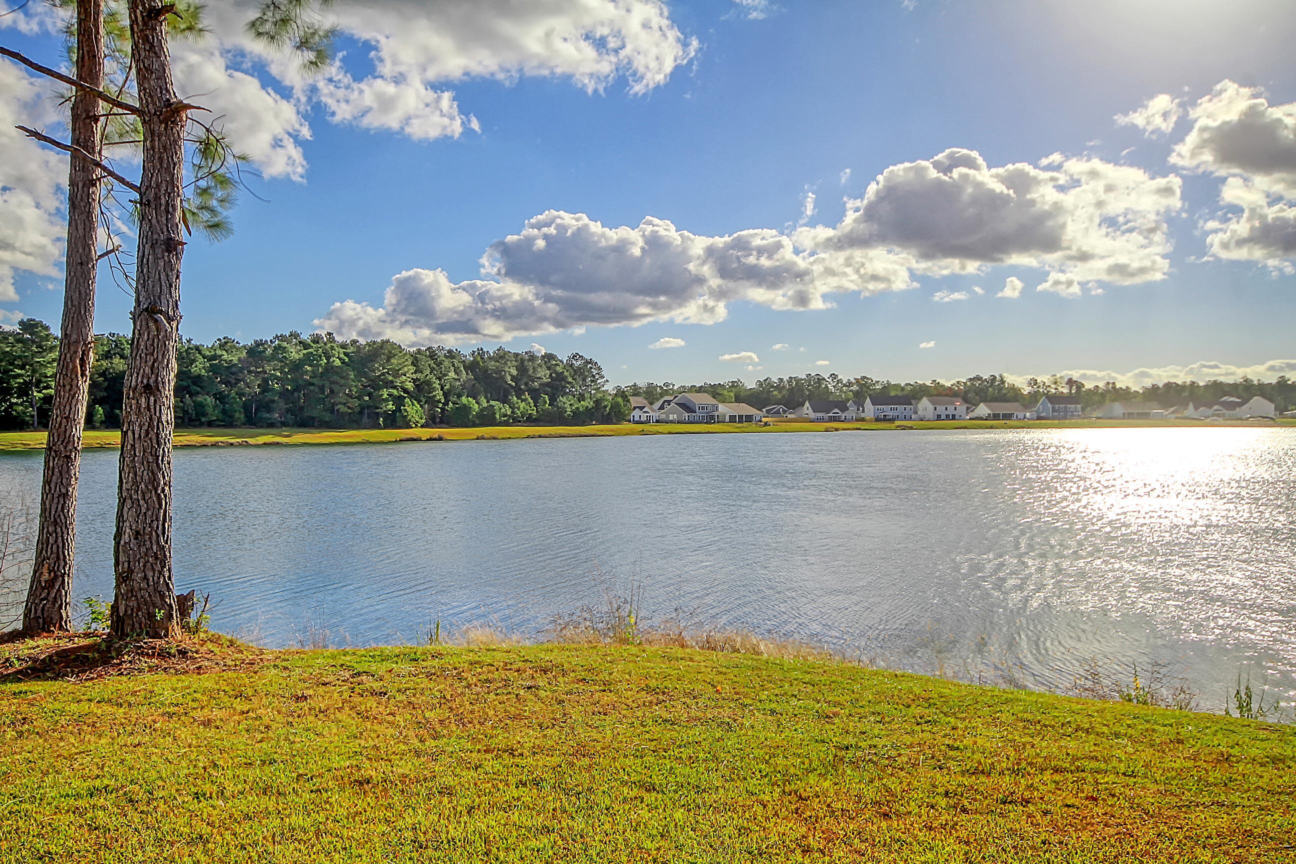 560 Pontoon Road Huger, SC 29450 - Photo 10 of 61 Backyard