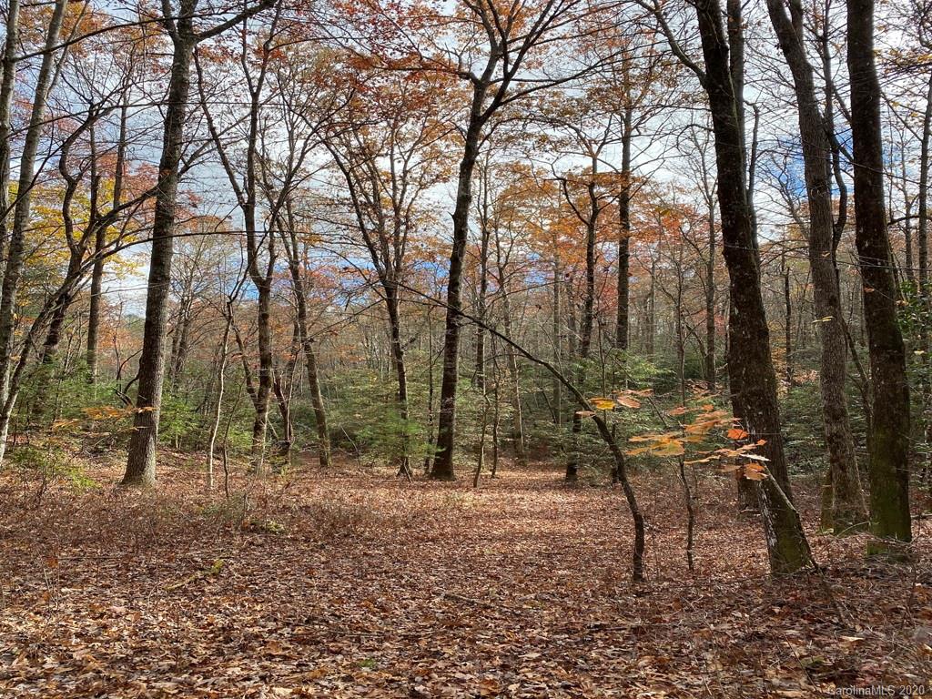 Tbd Burrell Mountain Road Brevard, NC 28712 - Photo 1 of 16 Gallery Image 1
