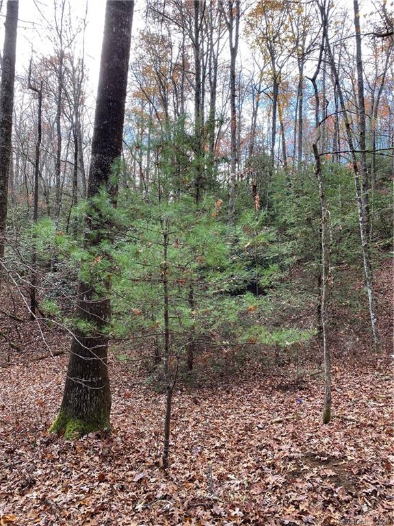 Tbd Burrell Mountain Road Brevard, NC 28712 - Photo 2 of 16 Gallery Image 2