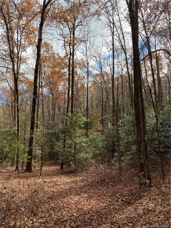Tbd Burrell Mountain Road Brevard, NC 28712 - Photo 11 of 16 Gallery Image 11