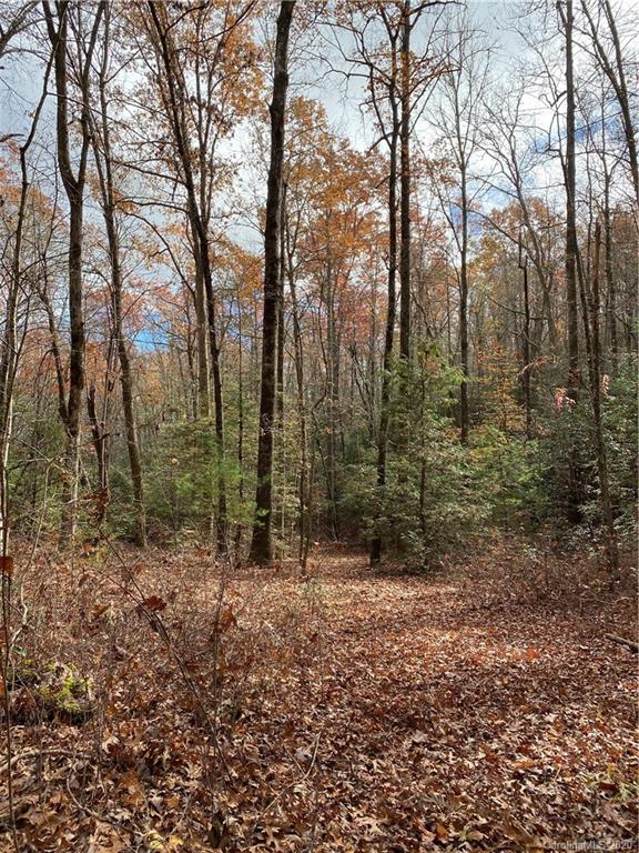 Tbd Burrell Mountain Road Brevard, NC 28712 - Photo 12 of 16 Gallery Image 12