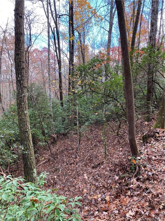 Tbd Burrell Mountain Road Brevard, NC 28712 - Photo 13 of 16 Gallery Image 13