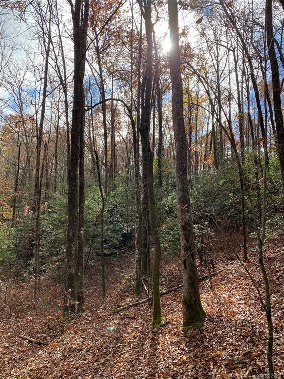 Tbd Burrell Mountain Road Brevard, NC 28712 - Photo 14 of 16 Gallery Image 14
