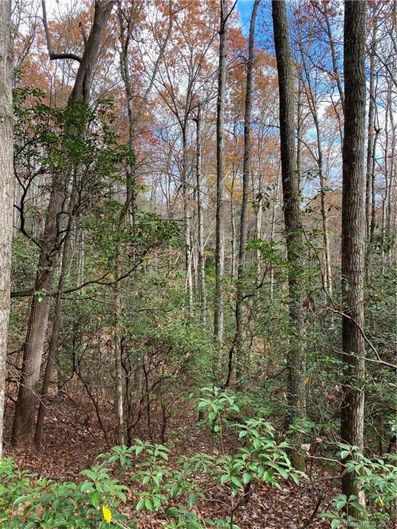 Tbd Burrell Mountain Road Brevard, NC 28712 - Photo 15 of 16 Gallery Image 15
