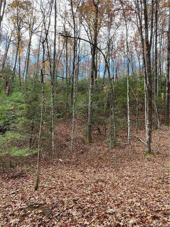 Tbd Burrell Mountain Road Brevard, NC 28712 - Photo 3 of 16 Gallery Image 3