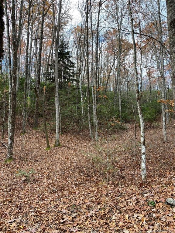 Tbd Burrell Mountain Road Brevard, NC 28712 - Photo 4 of 16 Gallery Image 4