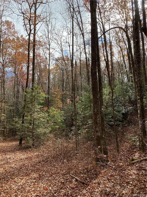 Tbd Burrell Mountain Road Brevard, NC 28712 - Photo 6 of 16 Gallery Image 6
