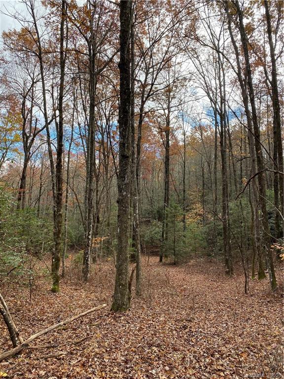 Tbd Burrell Mountain Road Brevard, NC 28712 - Photo 7 of 16 Gallery Image 7