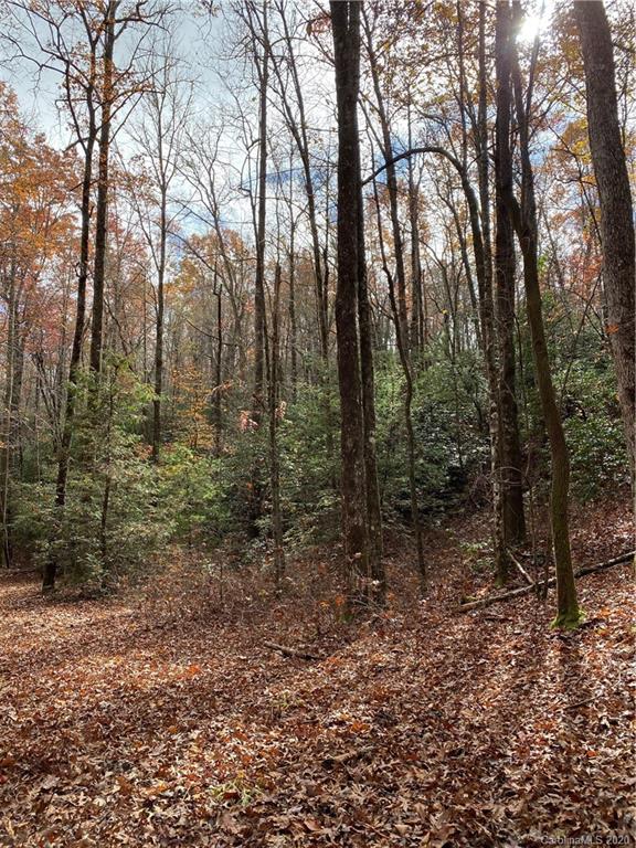 Tbd Burrell Mountain Road Brevard, NC 28712 - Photo 9 of 16 Gallery Image 9