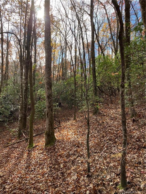 Tbd Burrell Mountain Road Brevard, NC 28712 - Photo 10 of 16 Gallery Image 10