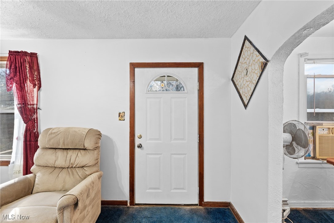 102 Potrock Road Wellsburg, WV 26070 - Photo 5 of 42 Entryway with plenty of natural light, a textured ceiling, and carpet flooring