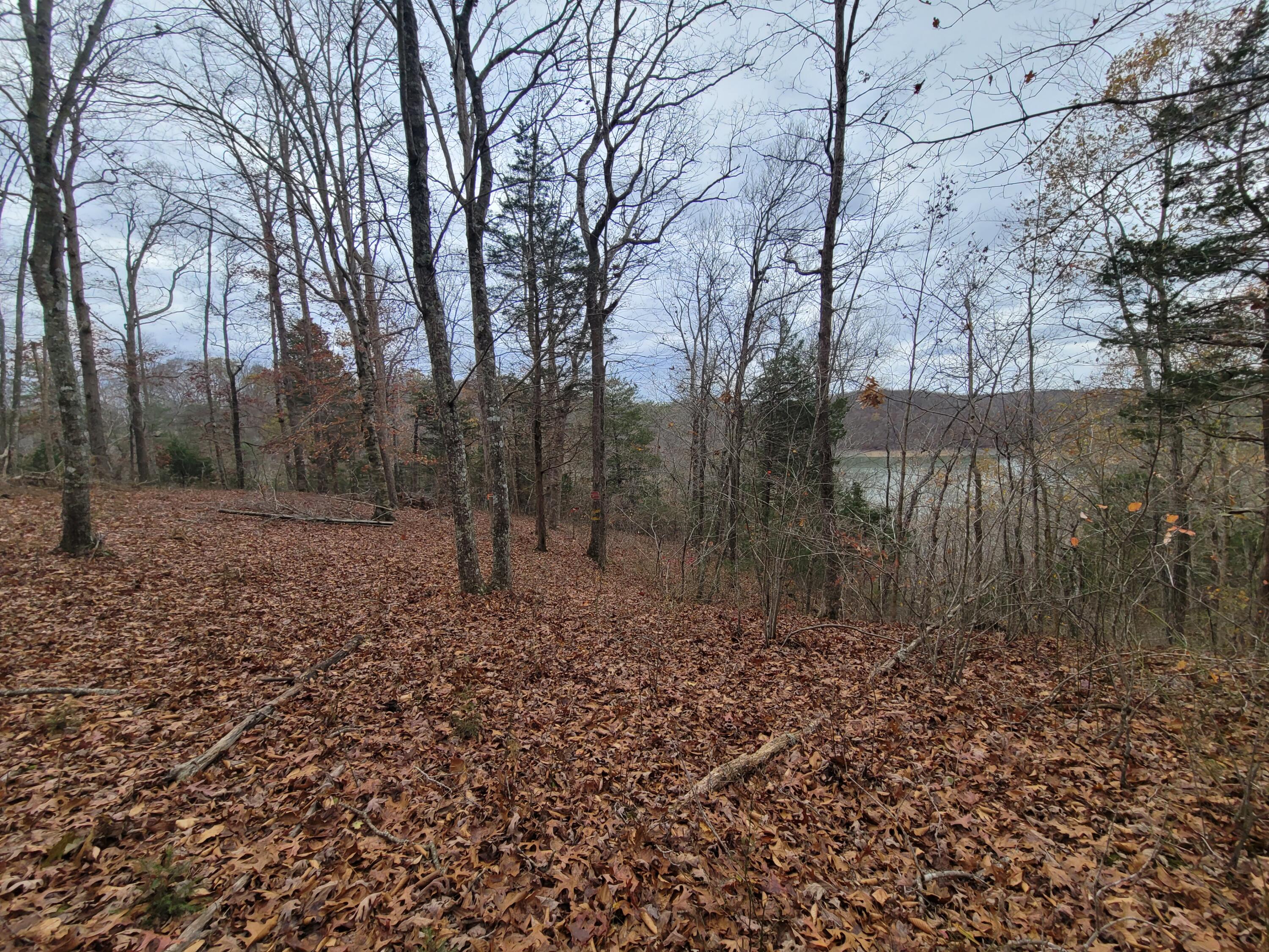 88 Parks Ridge Road, Unit 88 Russell Springs, KY 42642 - Photo 9 of 12 20241121_100128 (1)
