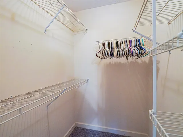 a garden with trees in front of it