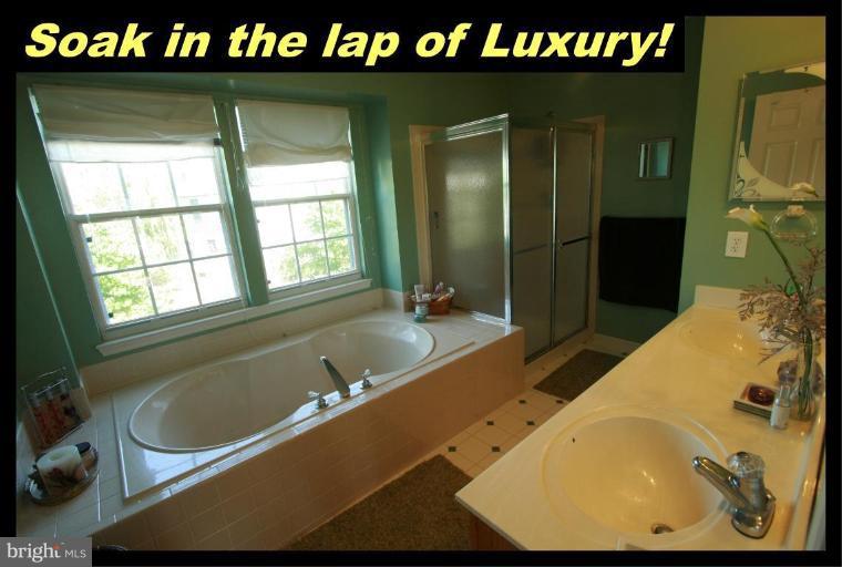 726 Monarch Ridge Road Frederick, MD 21703 - Photo 2 of 12 a bathroom with a tub a sink and a large mirror