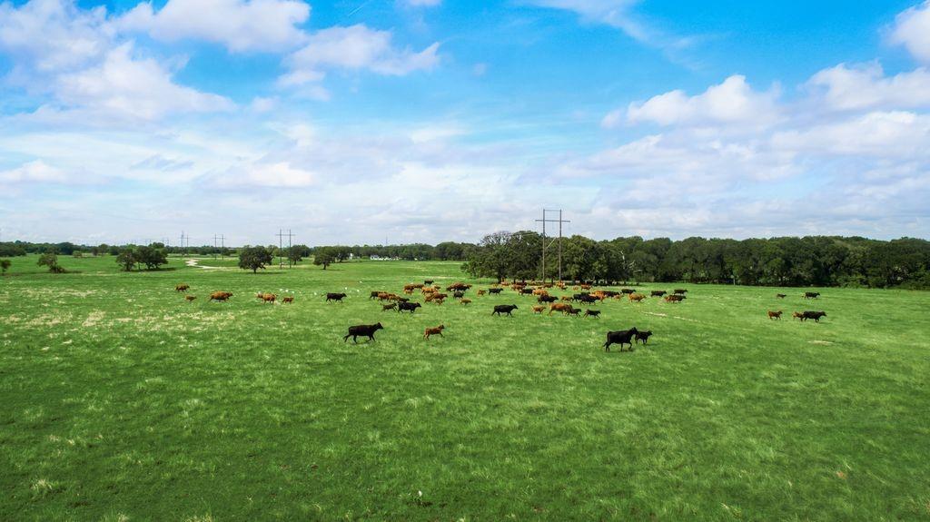 2 Co Road Kaufman, TX 75142 - Photo 4 of 7 a view of a green field with lots of green space