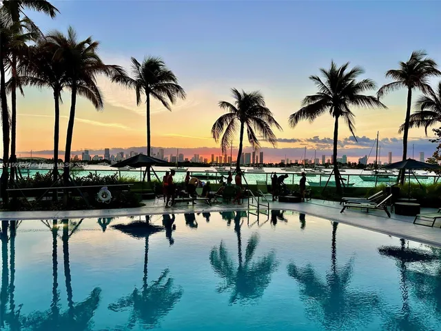 a lake view with palm tree