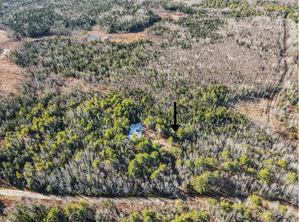 $135,000 | 17 Otter Trail, Greenbush, ME 04418