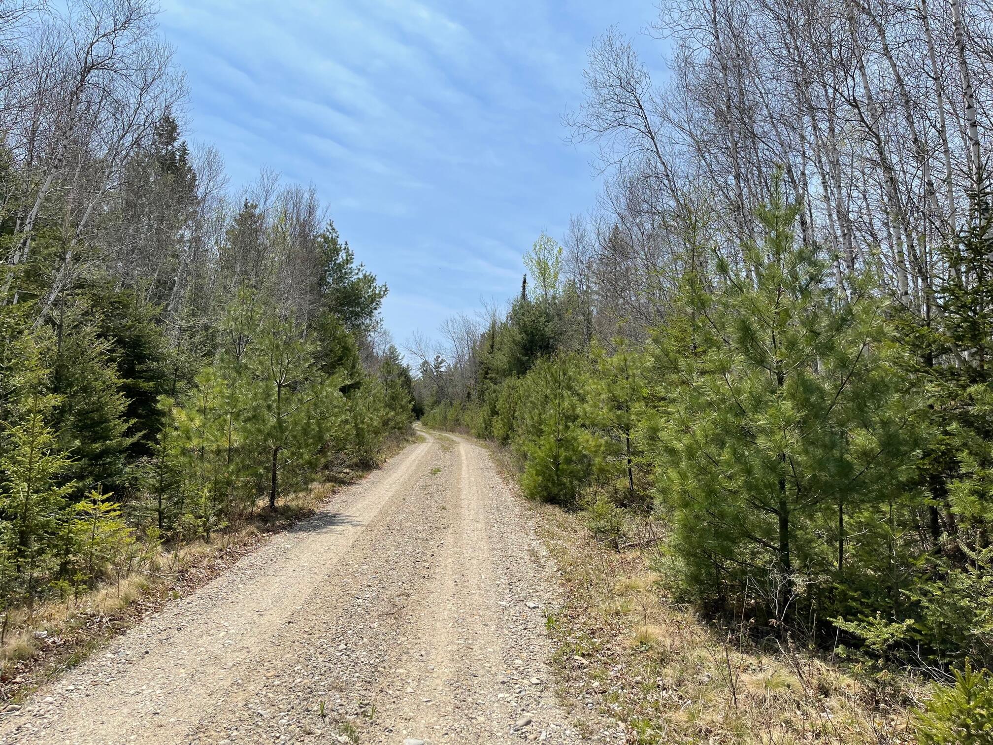 1664 Cathance Road East Machias, ME 04630 - Photo 16 of 21 IMG_2145