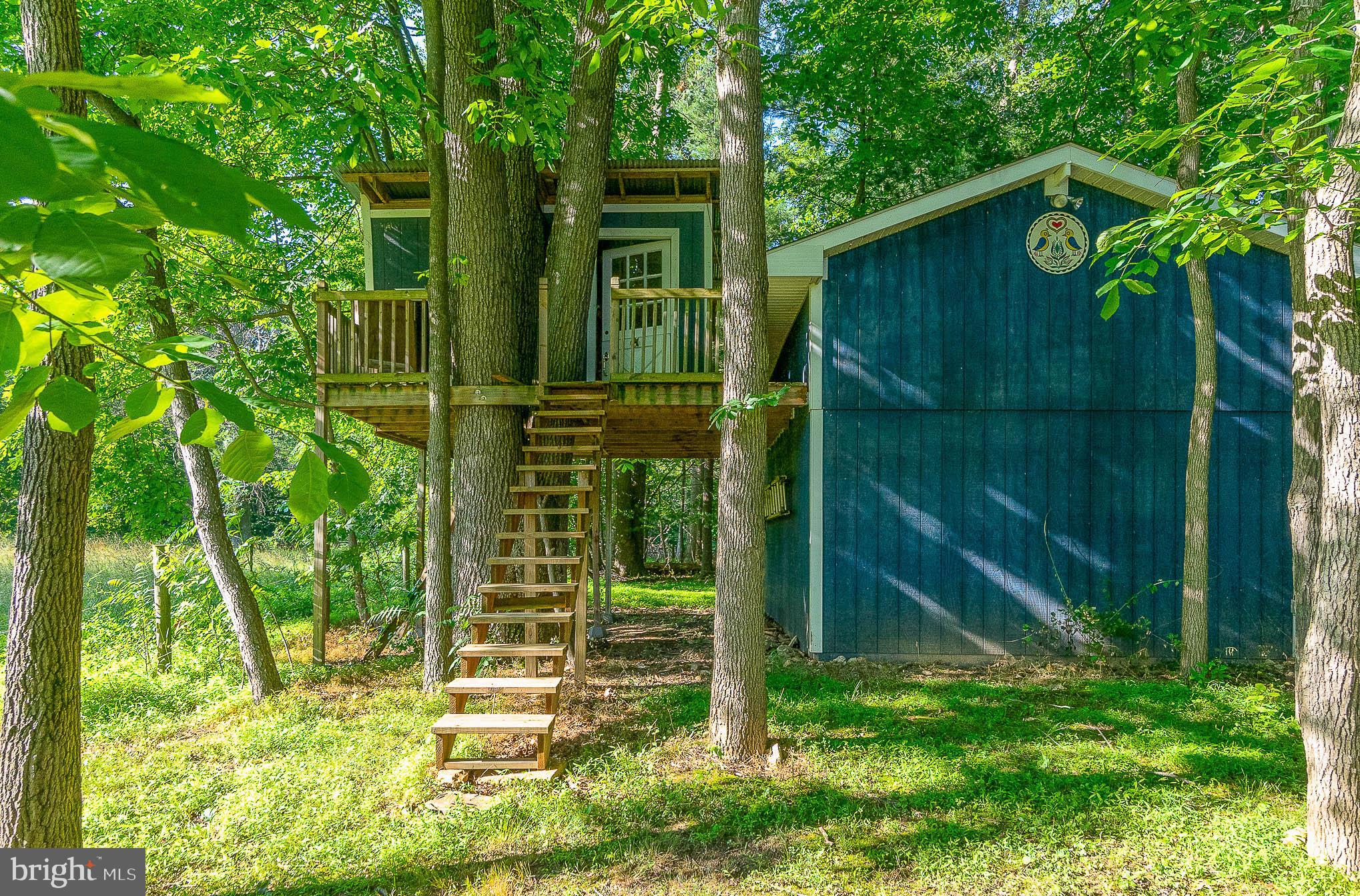 3818 Beckleysville Road Hampstead, MD 21074 - Photo 59 of 73 Tree house!