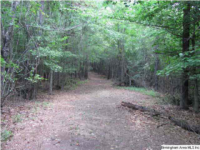 100 Cahaba Oaks Trail Pelham, AL 35124 - Photo 13 of 24