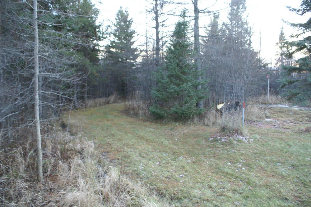 80 South Johnson Road Kinross, MI 49752 - Photo 10 of 38 Gallery Image 10