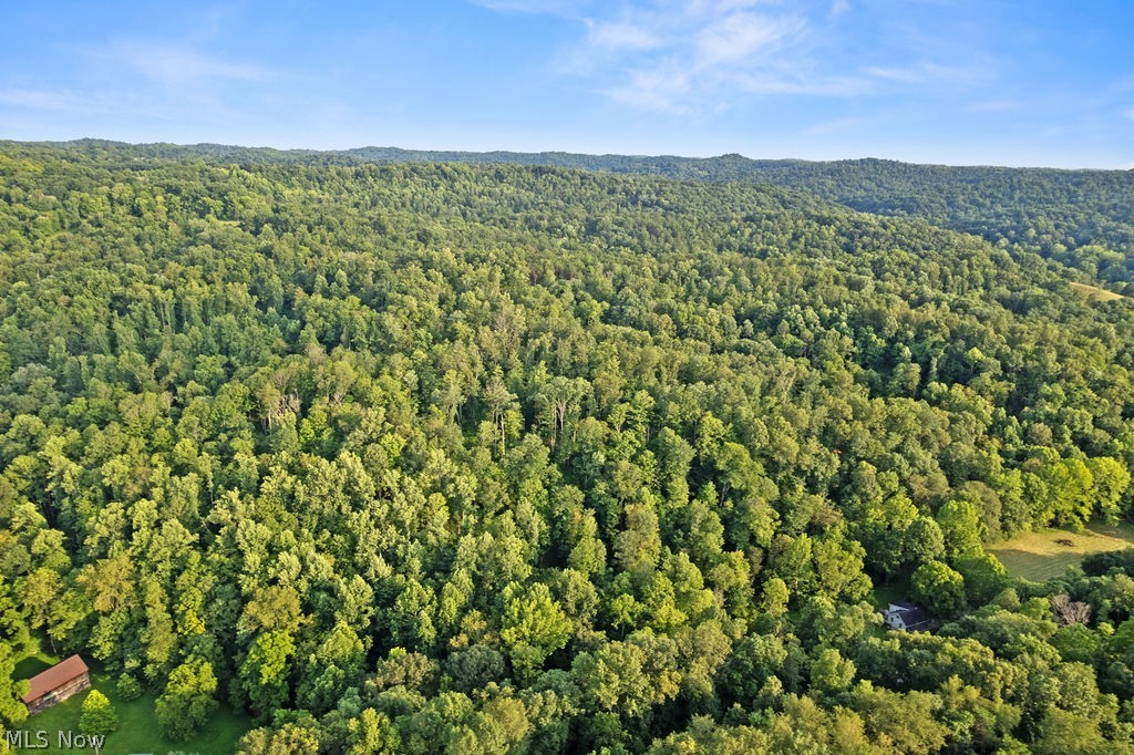 102 Logston Run Road Ravenswood, WV 26164 - Photo 40 of 42 Expansive forested landscape with rolling hills