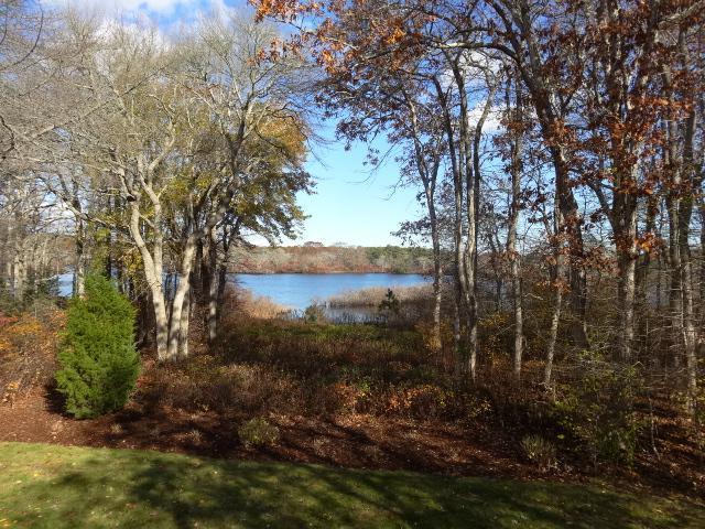 258 Huckins Neck Road Centerville, MA 02601 - Photo 3 of 30 a view of a yard with a tree