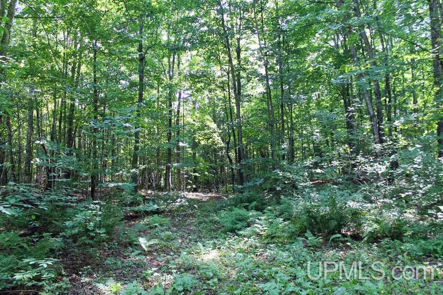4623 East 26th Road Chatham, MI 49816 - Photo 9 of 28
