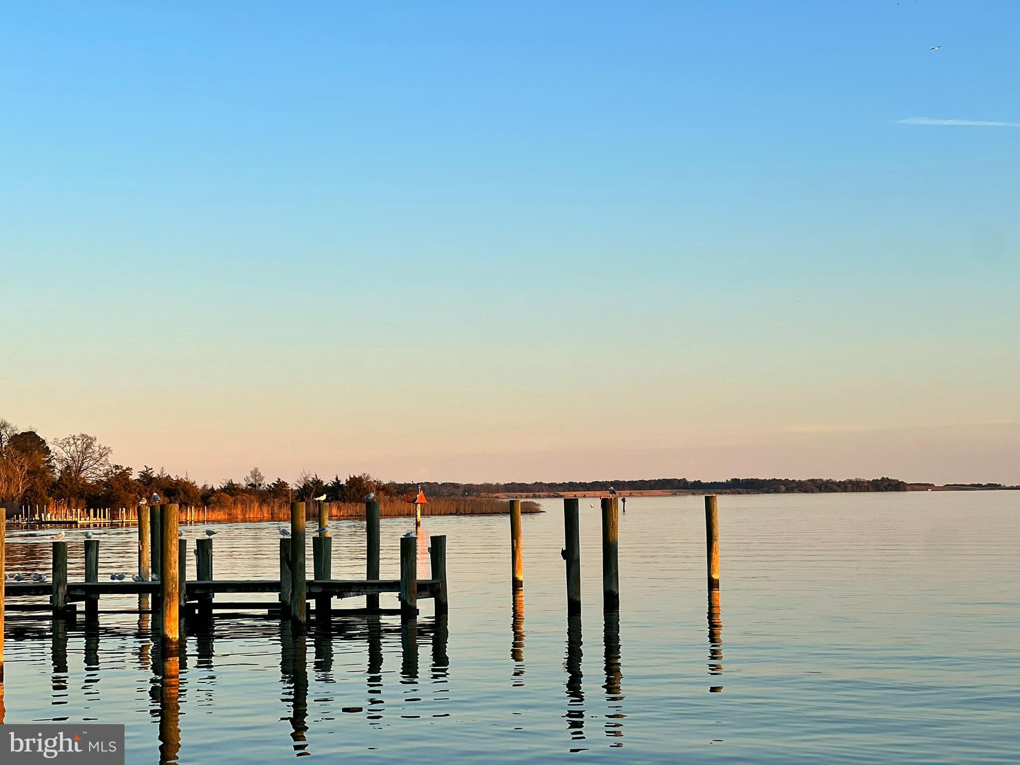 770 Bellefield Road, Unit 107 Solomons, MD 20629 - Photo 52 of 66 Looking Toward the Mouth of Patuxent/Bay