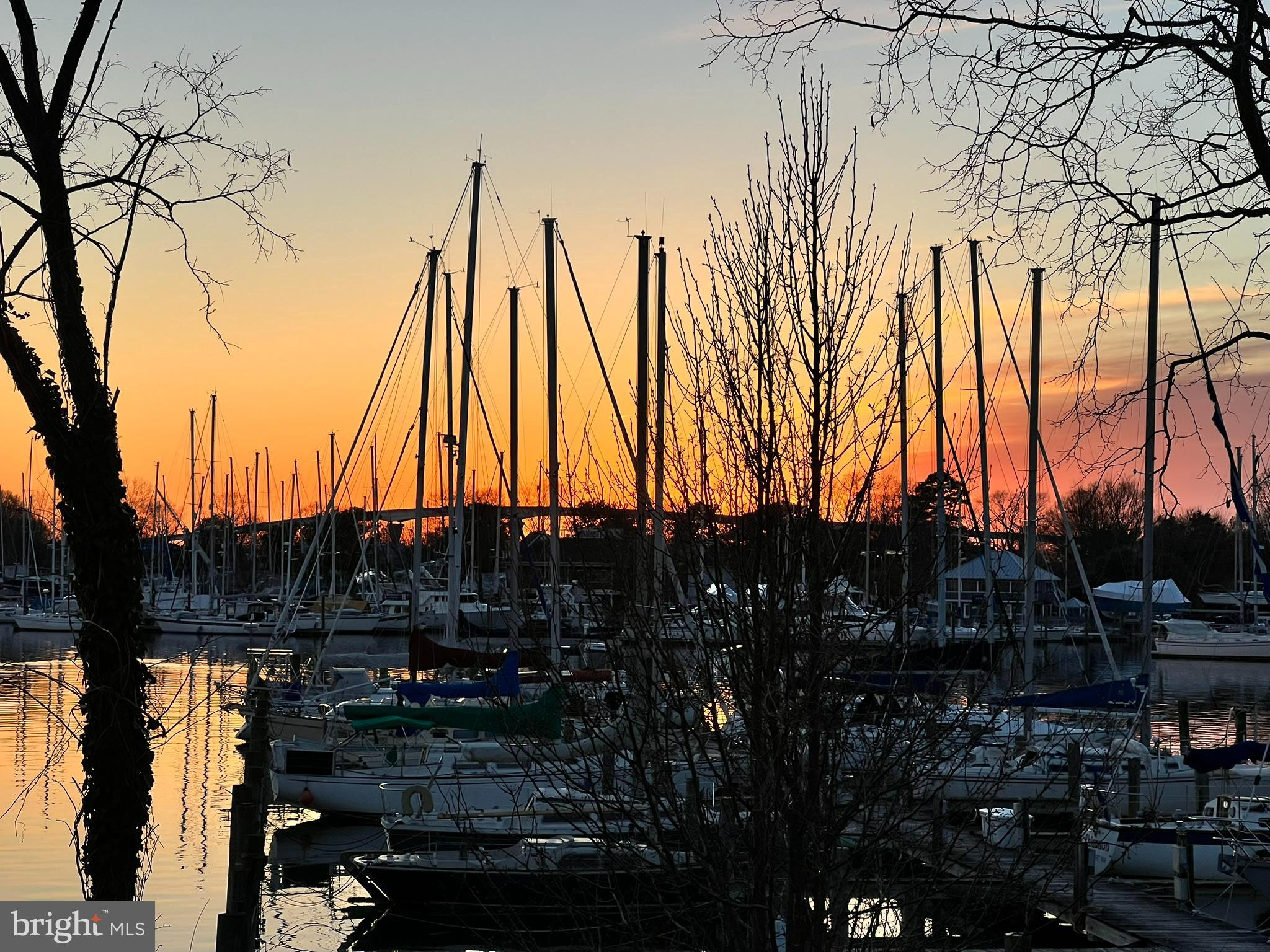 770 Bellefield Road, Unit 107 Solomons, MD 20629 - Photo 57 of 66 View from Adjacent Marina