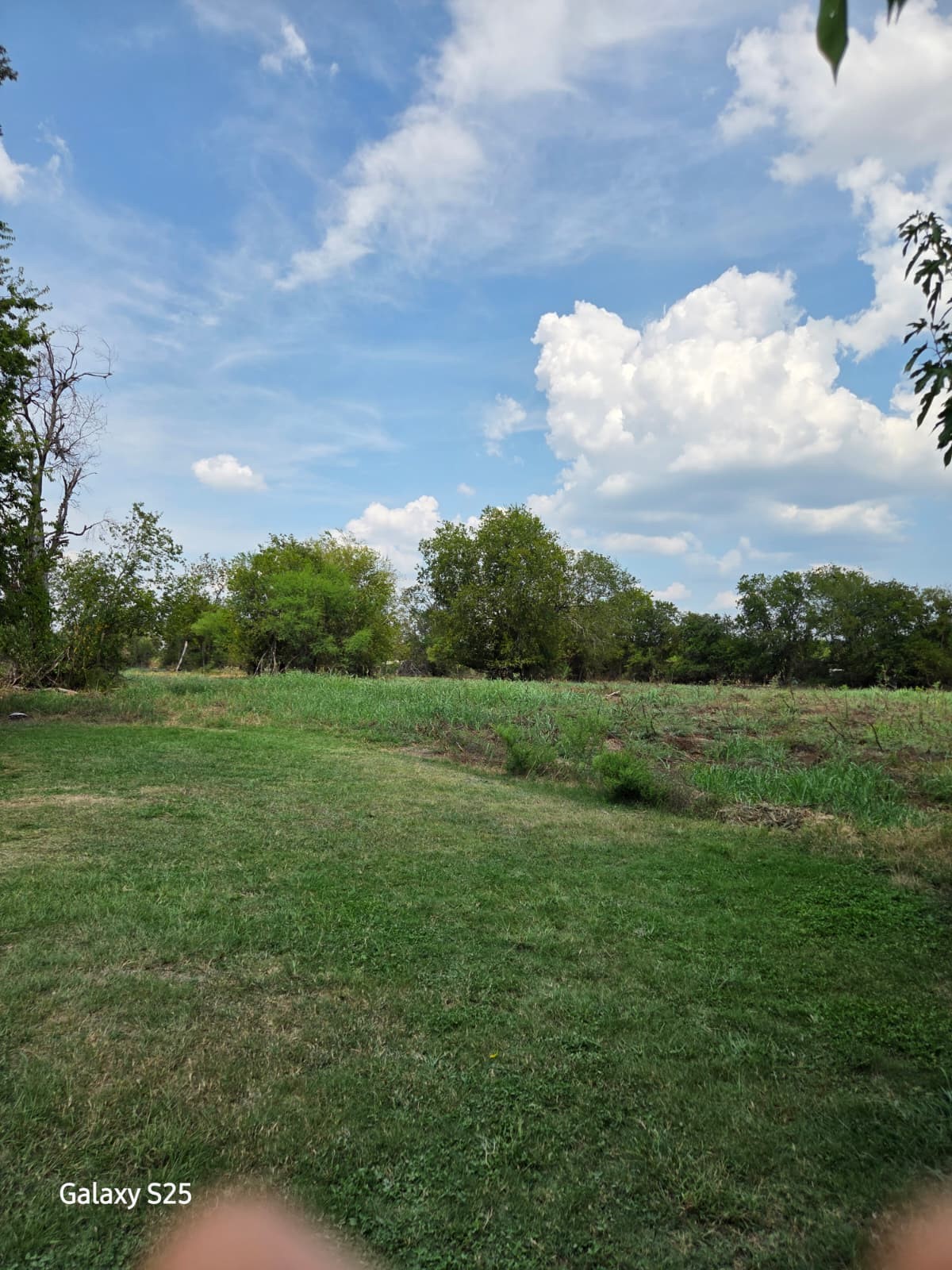 a view of an outdoor space and a yard