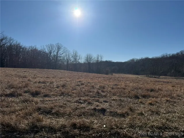 $425,000 | 27710 Woodhaven Road, Edwards, MO 65326