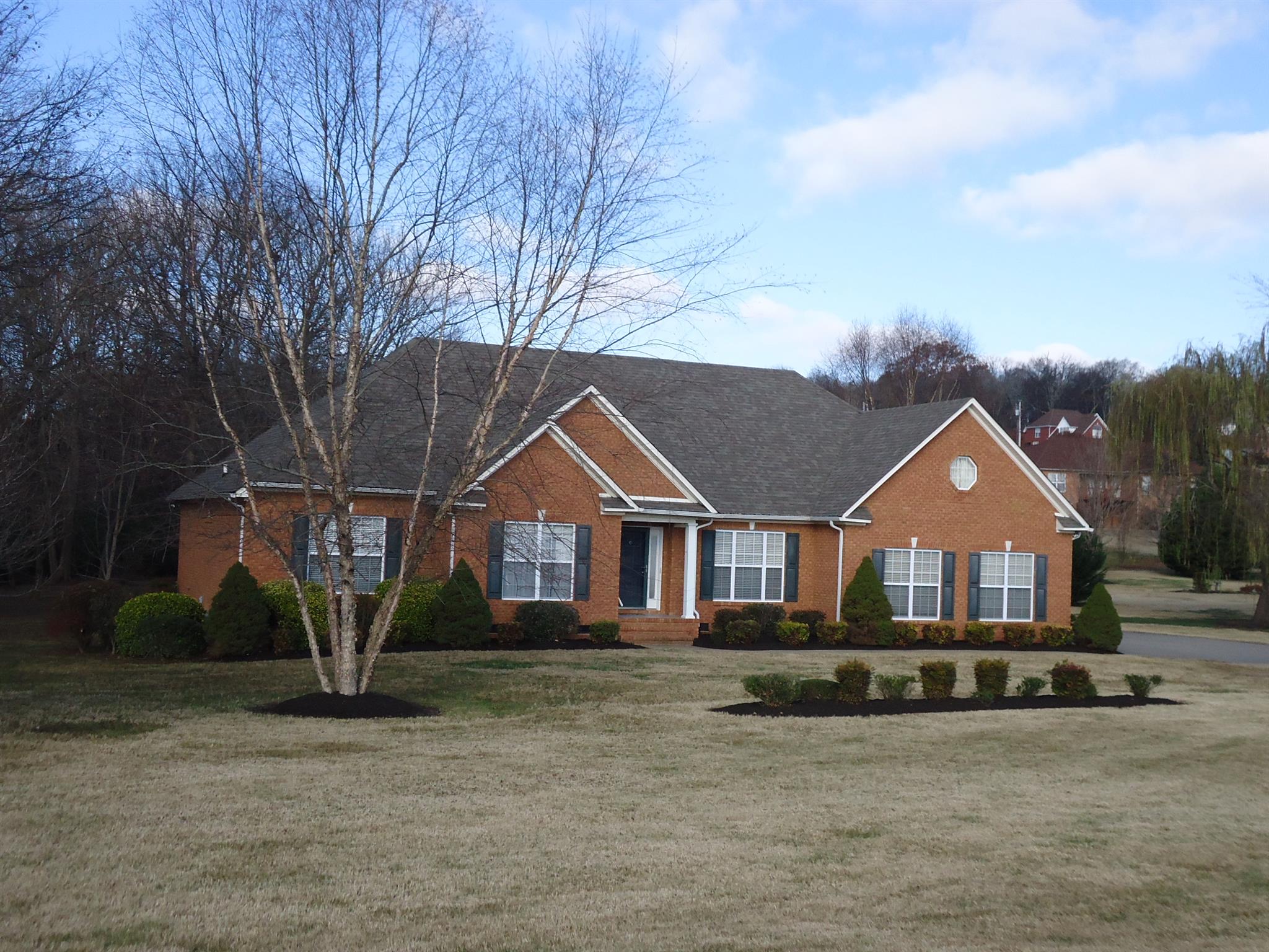 907 Sam Johnson Road Columbia, TN 38401 - Photo 16 of 18 Beautiful Park-Like Backyard!