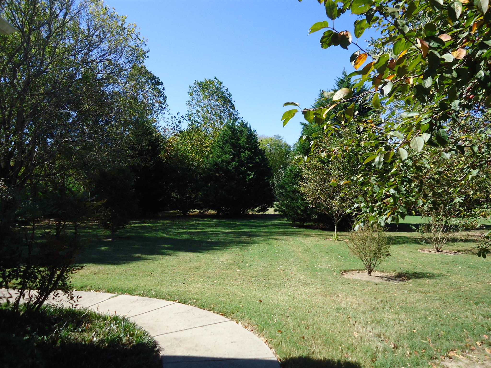 907 Sam Johnson Road Columbia, TN 38401 - Photo 18 of 18 Beautiful Park-Like Backyard! Great Spot for a Picnic Table!