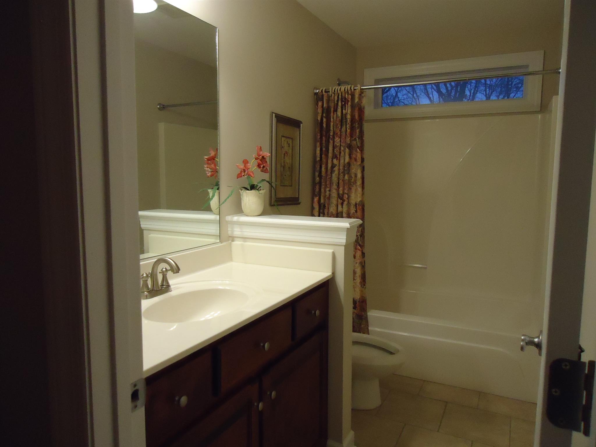 907 Sam Johnson Road Columbia, TN 38401 - Photo 9 of 18 Second Bath on Split Bedroom Side of Home!
