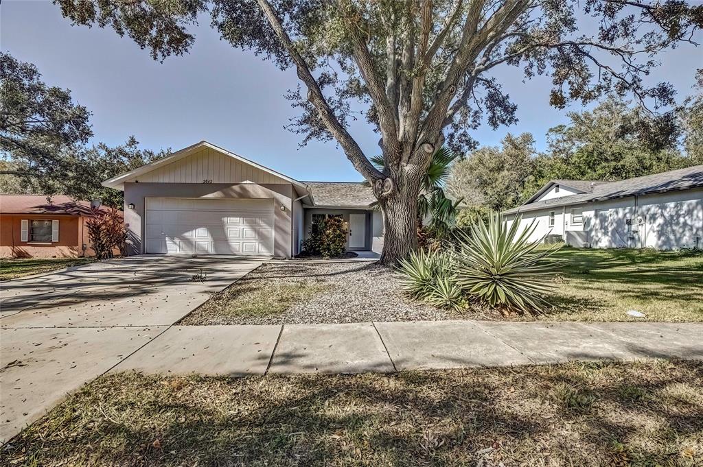 2042 Ridgelane Road Clearwater, FL 33755 - Photo 1 of 1 Gallery Image 1