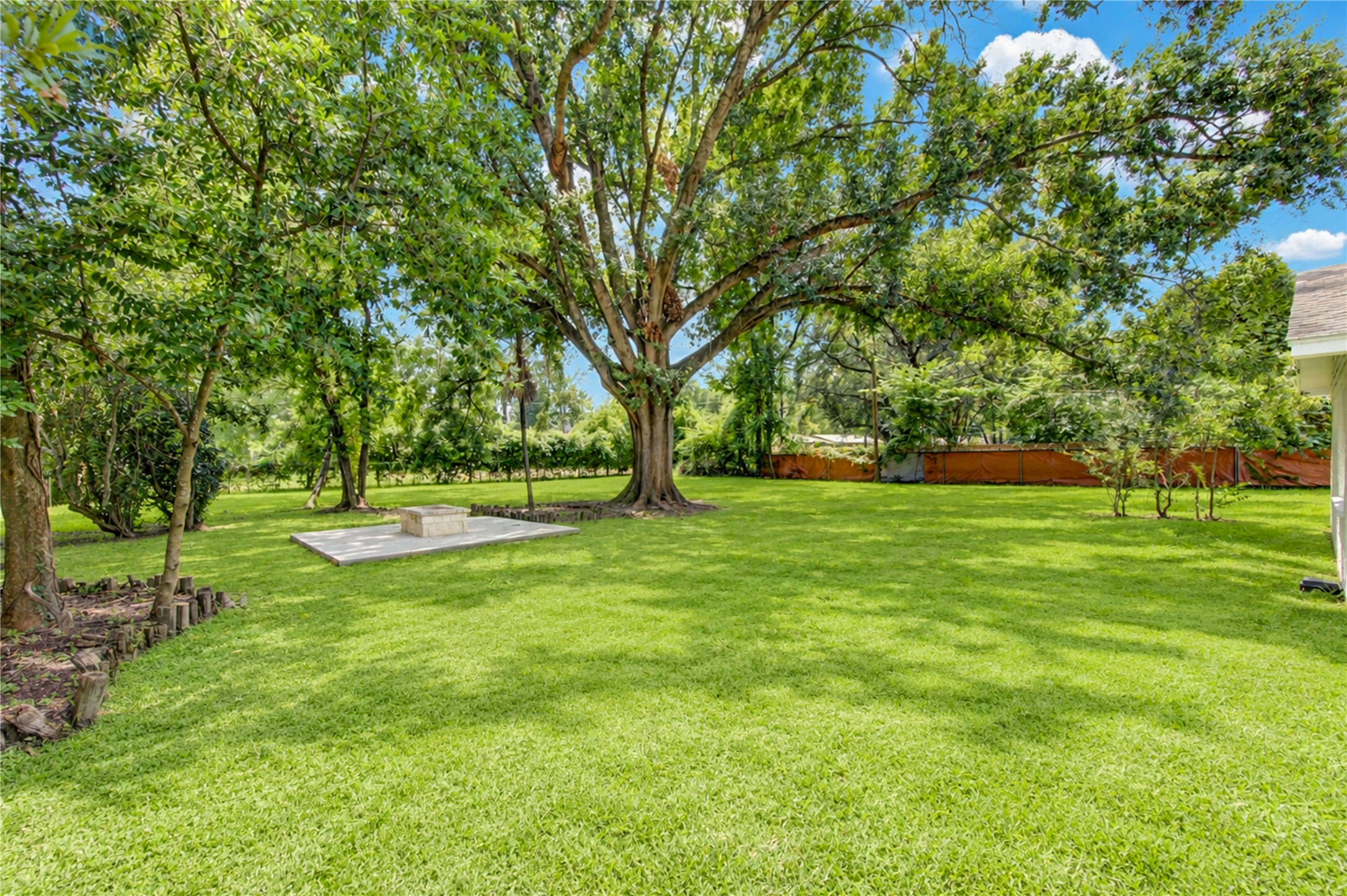 5411 Logston Lane Spring, TX 77389 - Photo 46 of 50 Expansive backyard featuring lush greenery and a majestic shade tree, perfect for outdoor relaxation and activities.