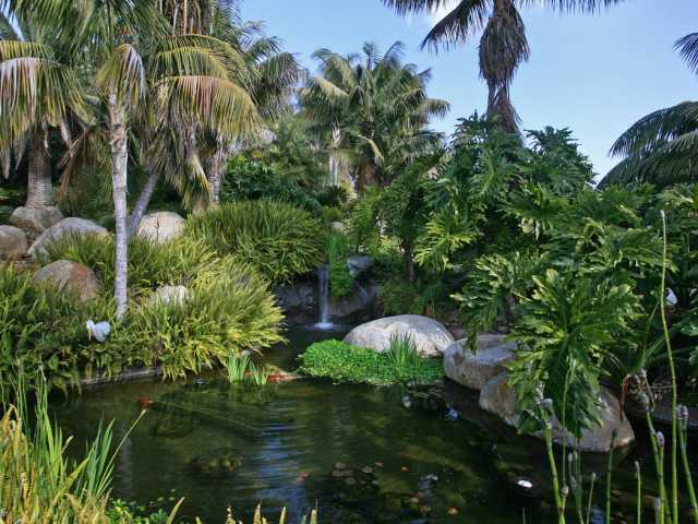 7024 Rancho Cielo Rancho Santa Fe, CA 92067 - Photo 2 of 25 Koi Pond