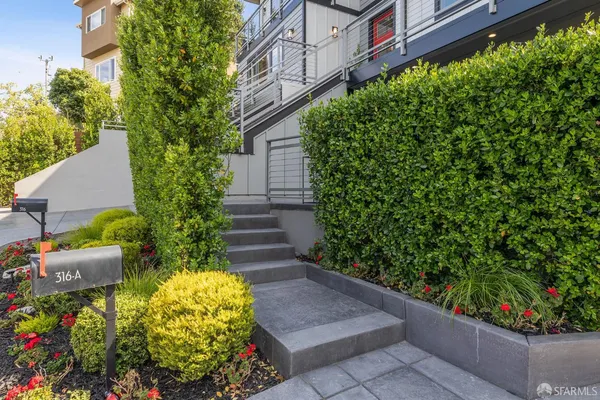 a view of a garden with plants