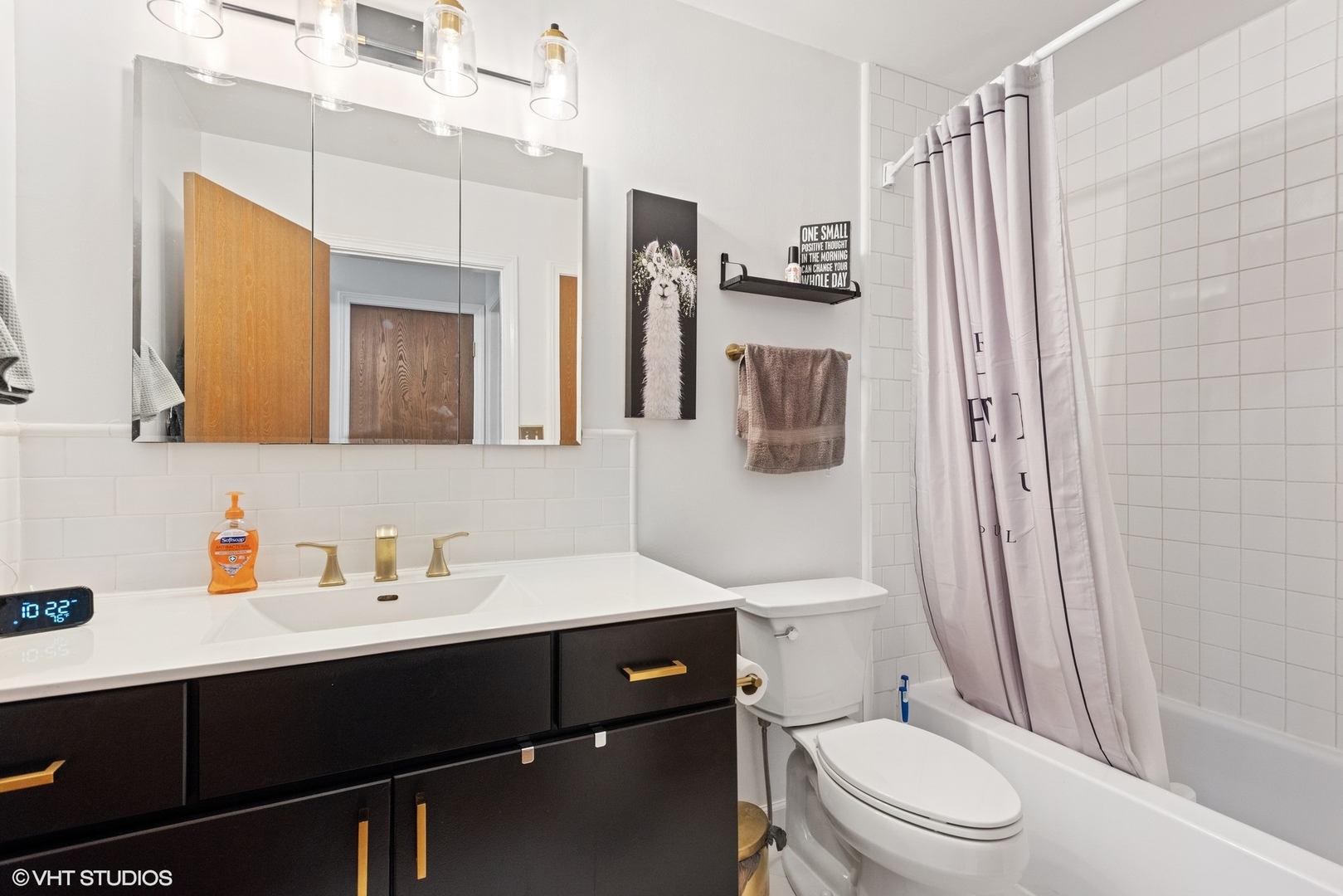 163 Bright Ridge Drive Schaumburg, IL 60194 - Photo 13 of 15 a bathroom with a sink a toilet a mirror a vanity and shower