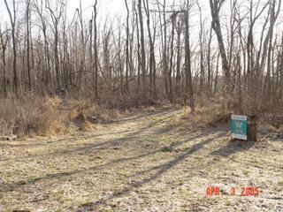 0 Mouth Hollow Road Stout, OH 45684 - Photo 1 of 1